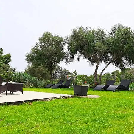 Sole Matto Bed and breakfast Olbia