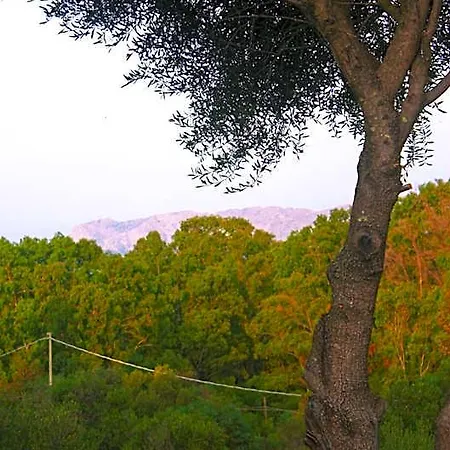 Couette-café Sole Matto Olbia