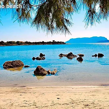 Sole Matto Olbia