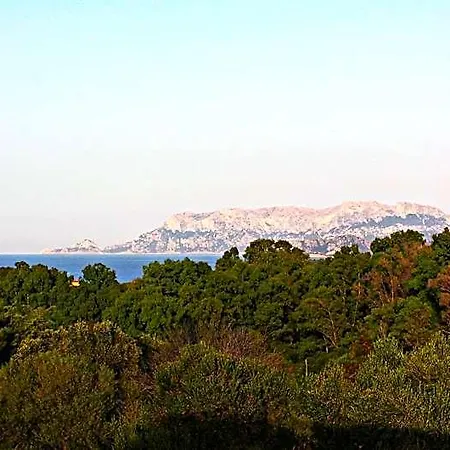 Sole Matto Olbia